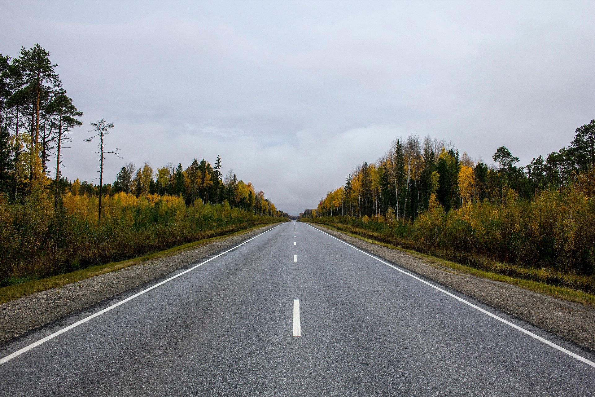 straight road through countryside on a cloudy day
