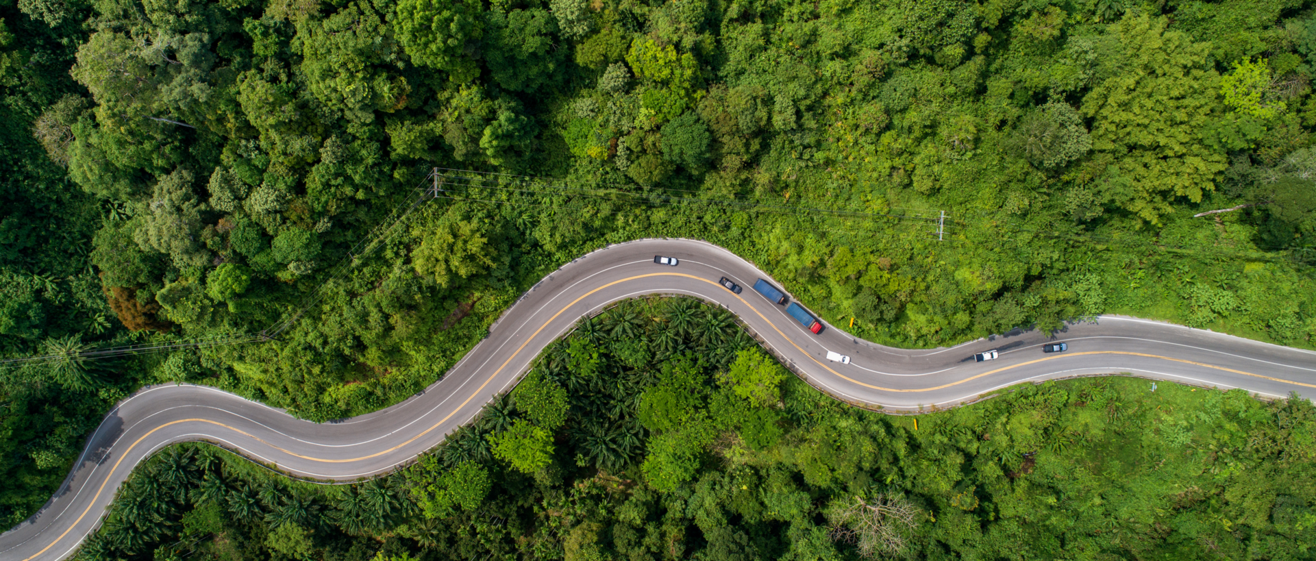 Aerial view of road winding through lush green forest Aerial view of road winding through lush green forest